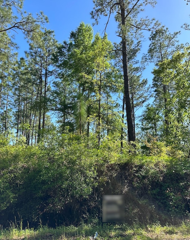 00 Dell, Bainbridge, GA 39819