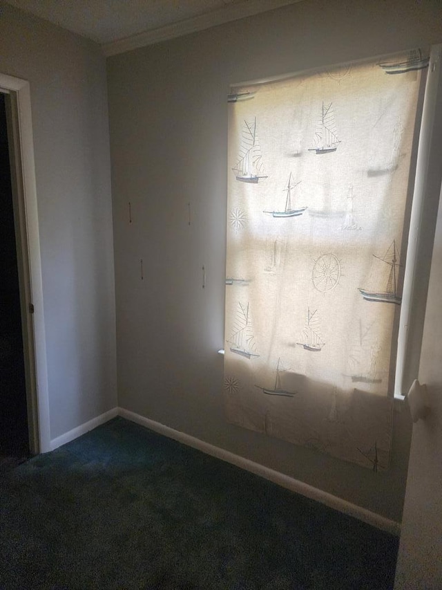 358/356 Hull St, Colquitt, GA 39837 - carpeted empty room with ornamental molding and baseboards