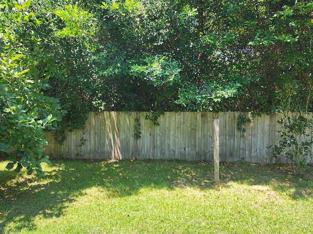 358/356 Hull St, Colquitt, GA 39837 - view of yard