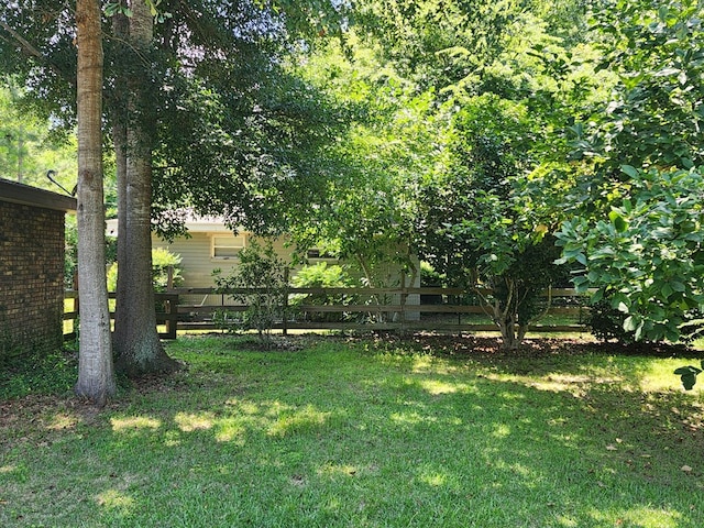 358/356 Hull St, Colquitt, GA 39837 - view of yard
