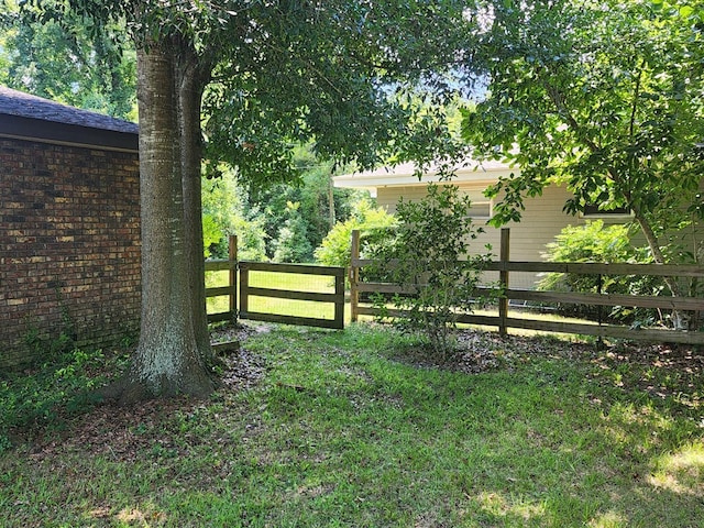 358/356 Hull St, Colquitt, GA 39837 - view of yard