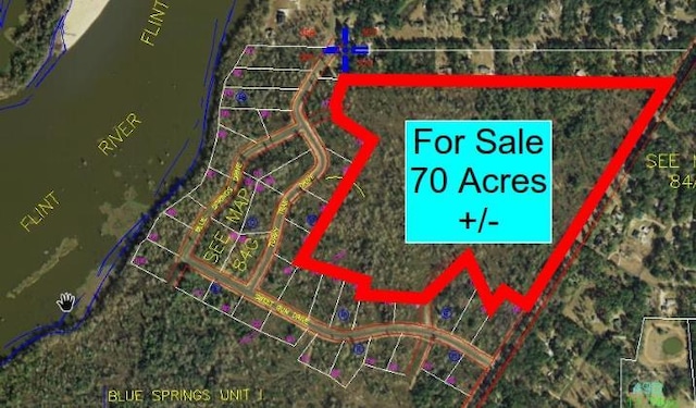 1403 Faceville Hwy, Bainbridge GA, 39819 land for sale