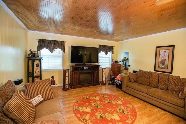 7433 Hanna Rd, Donalsonville, GA 39845 - photo 14