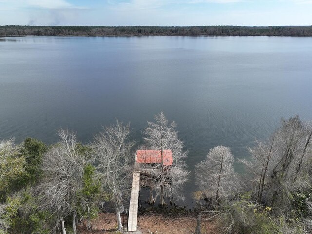 7433 Hanna Rd, Donalsonville, GA 39845 - photo 24