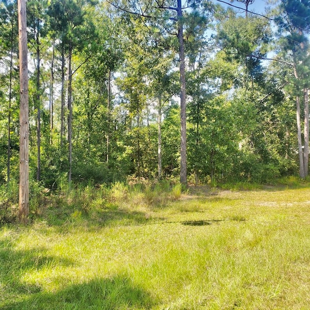 Listing photo 3 for 1ACRE Corps Airport Rd, Bainbridge GA 39819