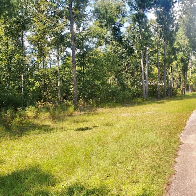 Listing photo 2 for 1ACRE Corps Airport Rd, Bainbridge GA 39819