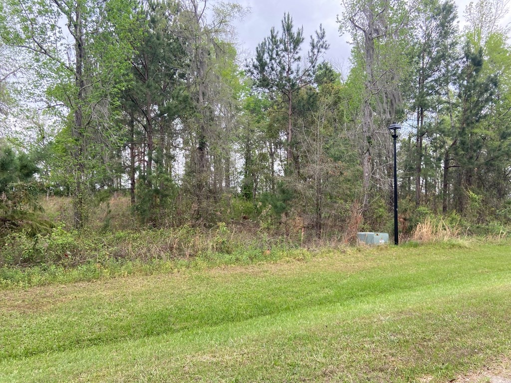N/A Blue Springs, Bainbridge, GA 39819 - photo 2