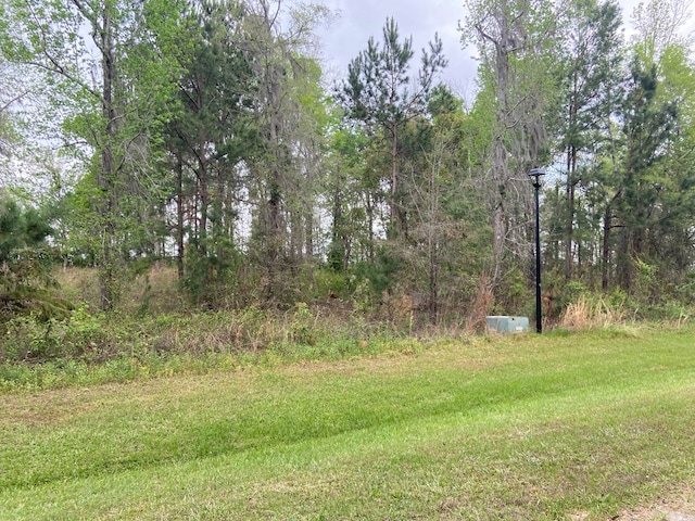 N/A Blue Springs, Bainbridge, GA 39819 - photo 2