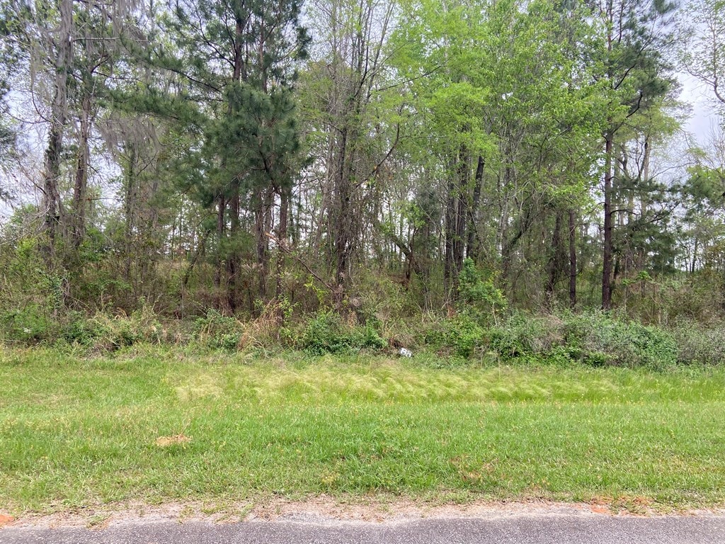 N/A Blue Springs, Bainbridge, GA 39819 - photo 4