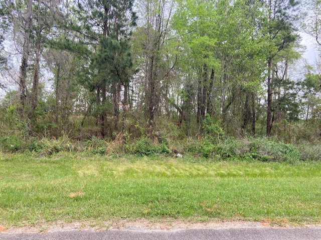 N/A Blue Springs, Bainbridge, GA 39819 - photo 4