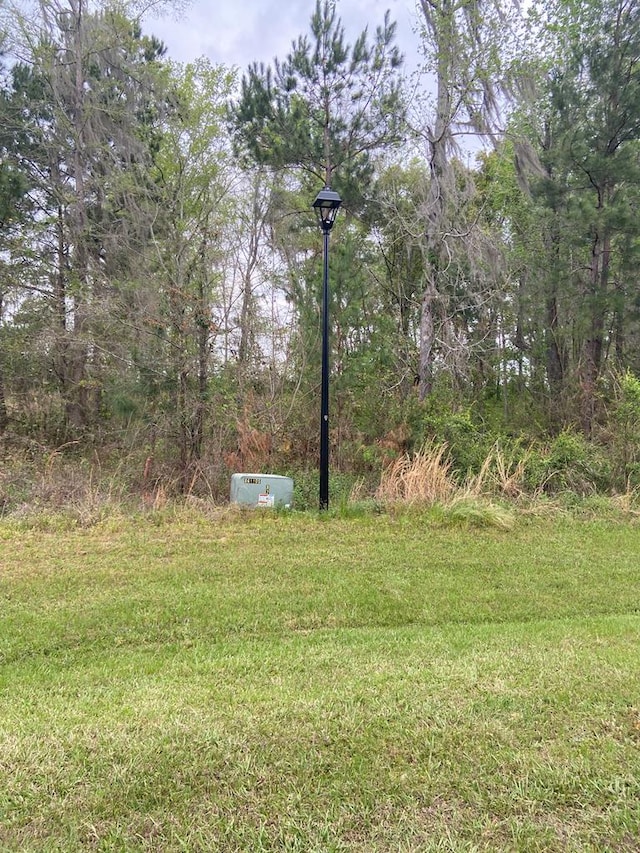 N/A Blue Springs, Bainbridge, GA 39819 - photo 1