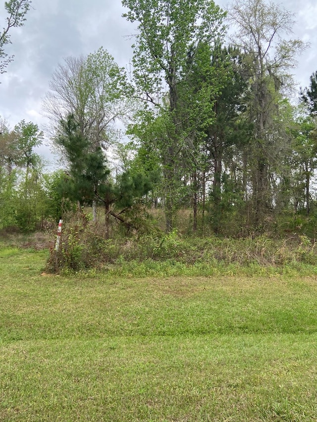 N/A Blue Springs, Bainbridge, GA 39819 - photo 3