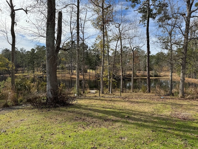 view of yard featuring a water view