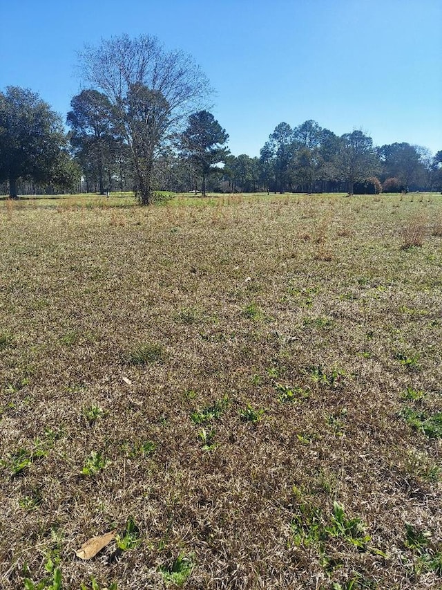 LOT1 Crine Blvd, Cairo GA, 39828 land for sale