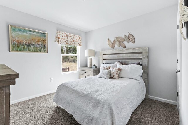 177 Wynn Ct, Bainbridge, GA 39819 - bedroom with carpet and baseboards