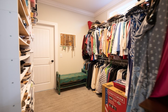 8030 Northwood Dr, Donalsonville, GA 39845 - spacious closet with light colored carpet