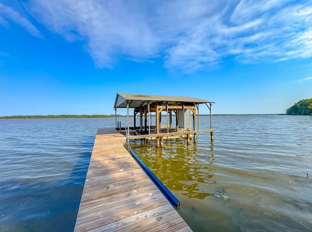 dock area with a water view