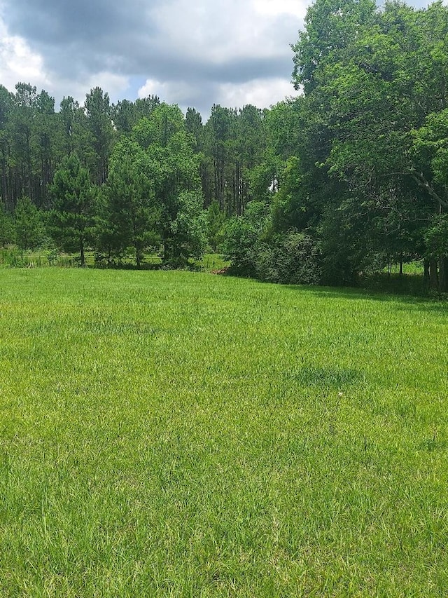 1210 Elkins Rd, Cairo, GA 39827 - view of grassy yard with a view of trees