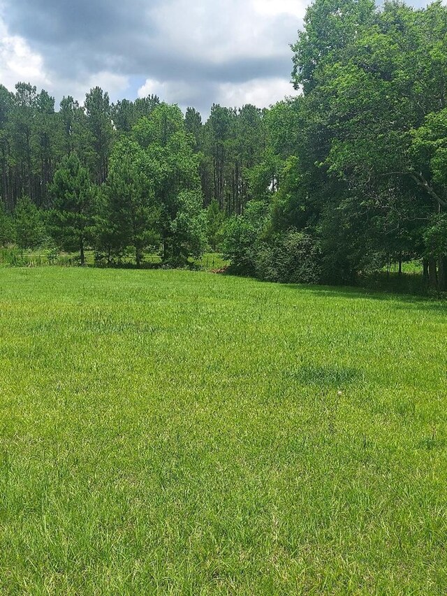 1210 Elkins Rd, Cairo, GA 39827 - photo 24