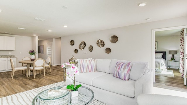 living room featuring light hardwood / wood-style flooring