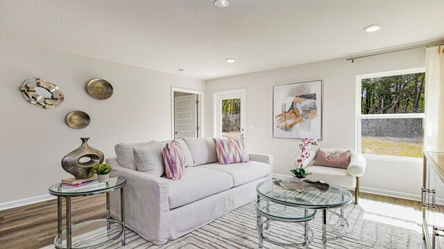 living room featuring hardwood / wood-style flooring, a textured ceiling, and a wealth of natural light