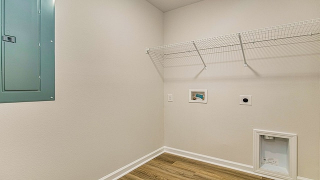 clothes washing area with hookup for an electric dryer, hardwood / wood-style floors, electric panel, and washer hookup