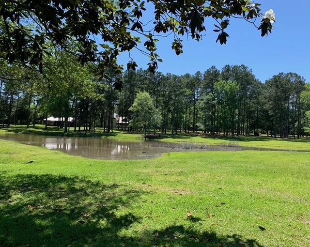 1589 Old Thomasville Rd, Cairo, GA 39828 - photo 13