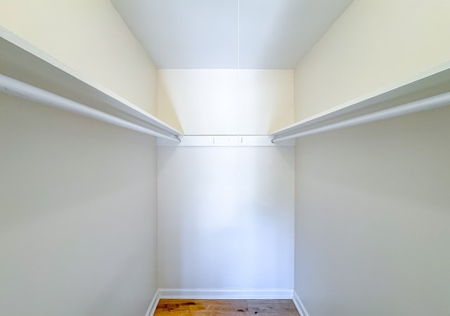 walk in closet featuring hardwood / wood-style flooring