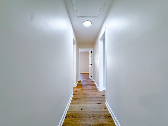 hall featuring light hardwood / wood-style floors