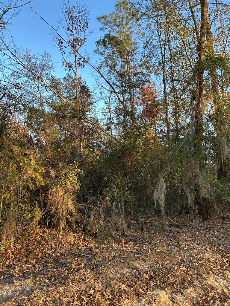 000 Southside Dr Unit 1/D, Donalsonville, GA 39845 - photo 1