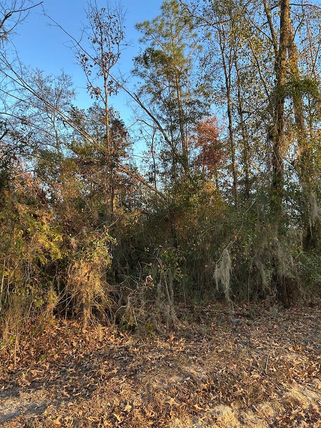000 Southside Dr Unit 1/D, Donalsonville, GA 39845 - photo 1