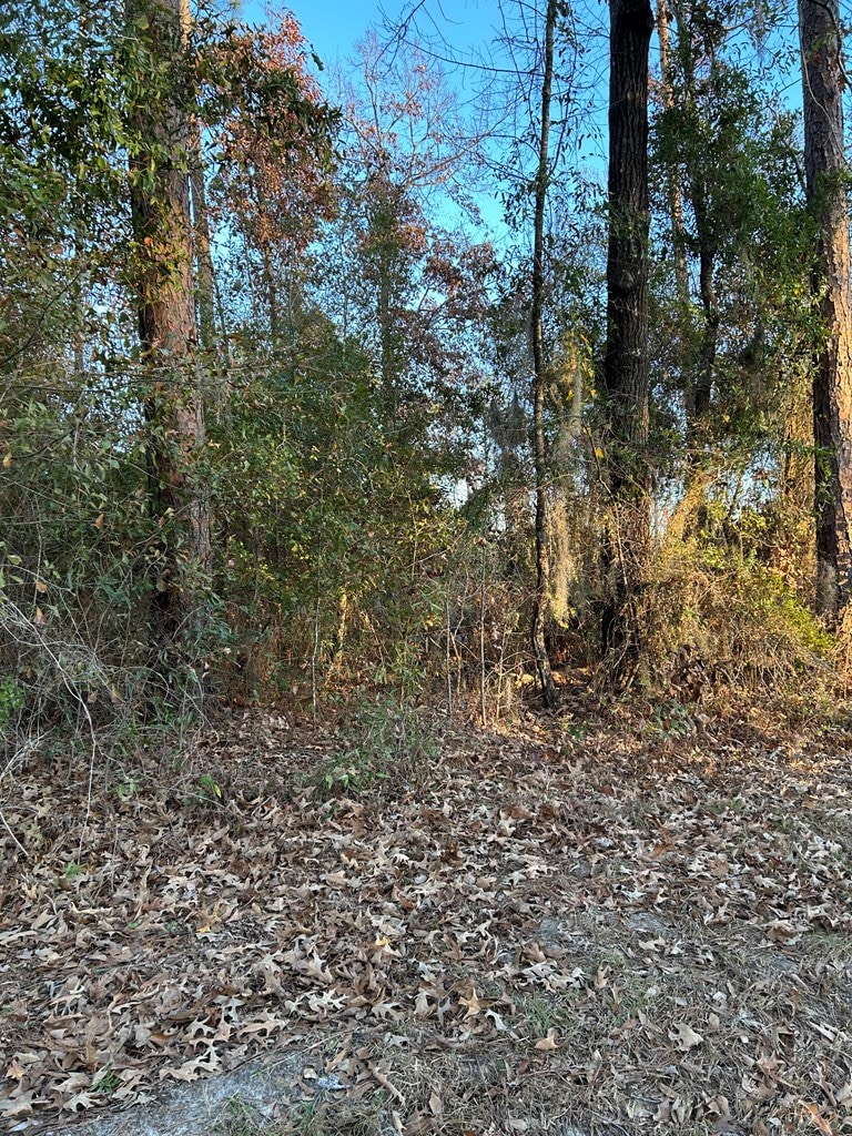 000 Southside Dr Unit 1/D, Donalsonville, GA 39845 - photo 2
