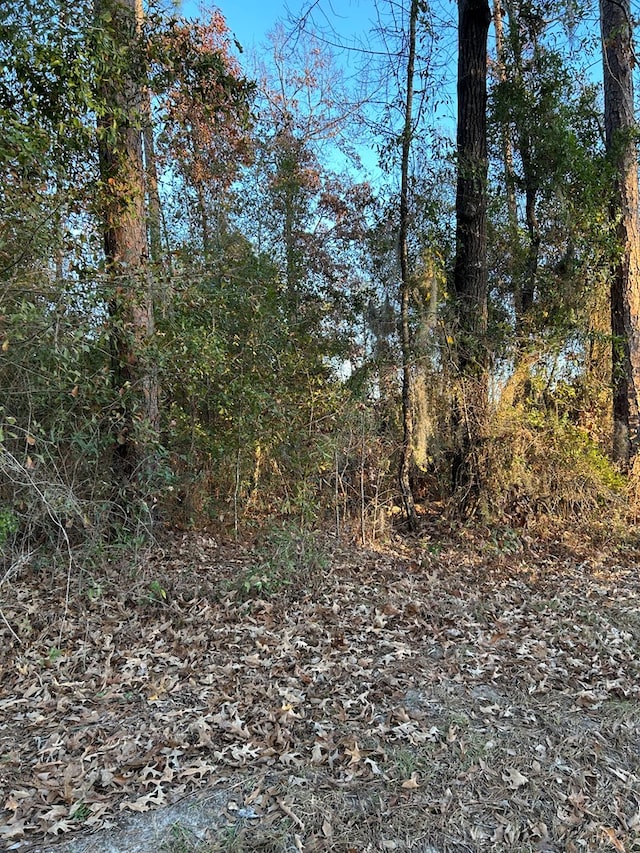 000 Southside Dr Unit 1/D, Donalsonville, GA 39845 - photo 2