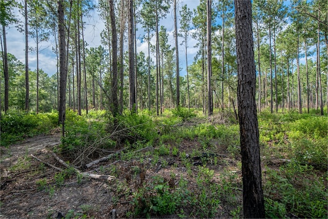 221AC Crestview Rd, Arlington, GA 39813 - photo 6
