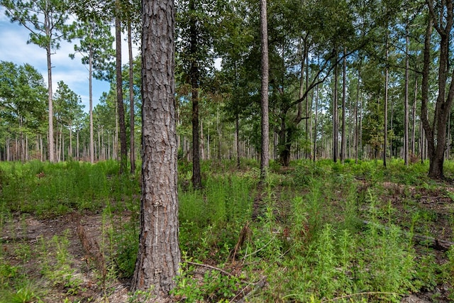 221AC Crestview Rd, Arlington, GA 39813 - photo 3