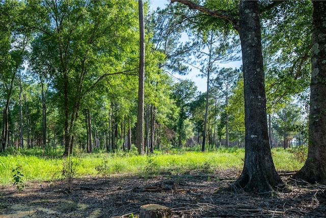 221AC Crestview Rd, Arlington, GA 39813 - photo 14
