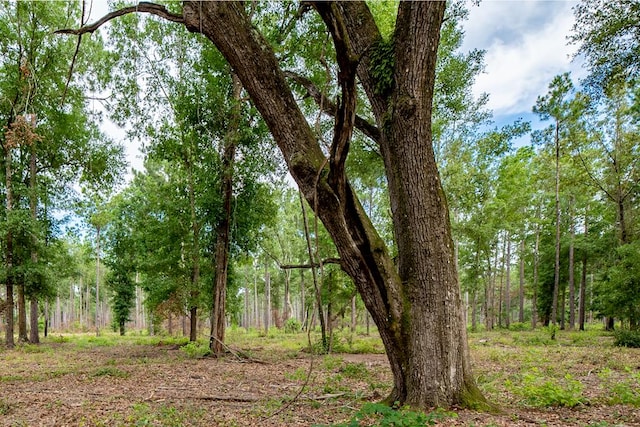 221AC Crestview Rd, Arlington, GA 39813 - photo 1