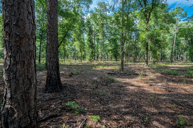221AC Crestview Rd, Arlington, GA 39813 - photo 7