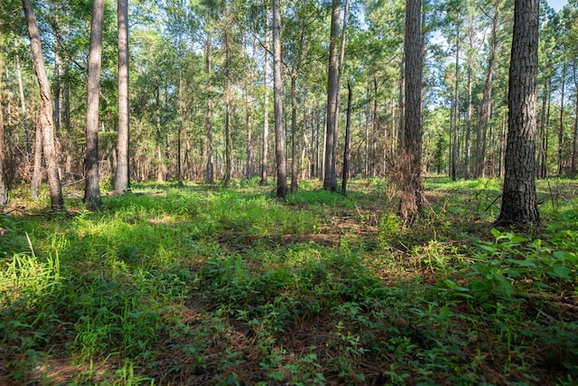 221AC Crestview Rd, Arlington, GA 39813 - photo 16