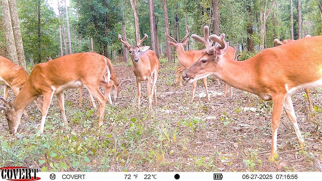 221AC Crestview Rd, Arlington, GA 39813 - photo 12