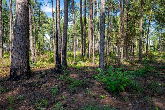 221AC Crestview Rd, Arlington, GA 39813 - photo 13