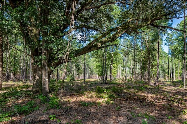 221AC Crestview Rd, Arlington, GA 39813 - photo 8