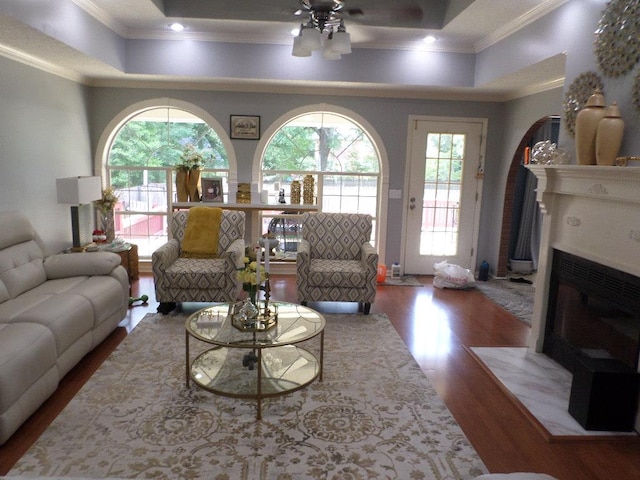 living area featuring crown molding, a raised ceiling, ceiling fan, and a premium fireplace