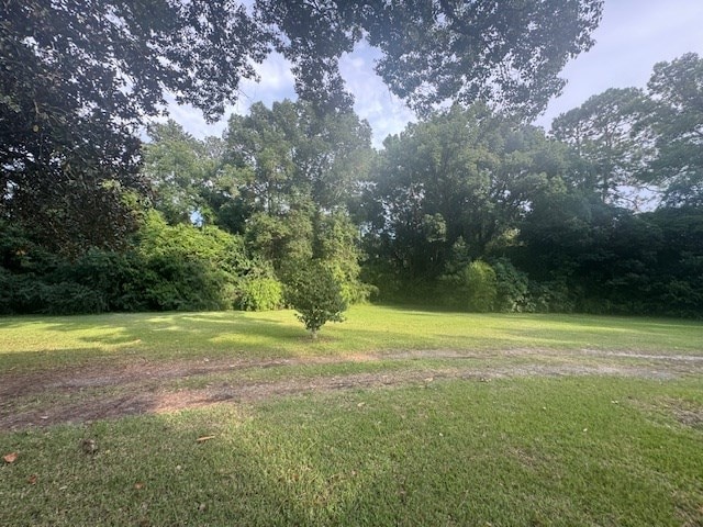 530 SE 6th Ave, Cairo, GA 39828 - photo 6
