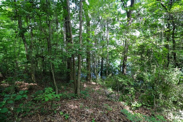 LOT10 Booster Club Rd, Bainbridge, GA 39819