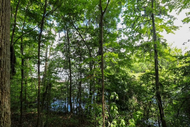 LOT10 Booster Club Rd, Bainbridge, GA 39819
