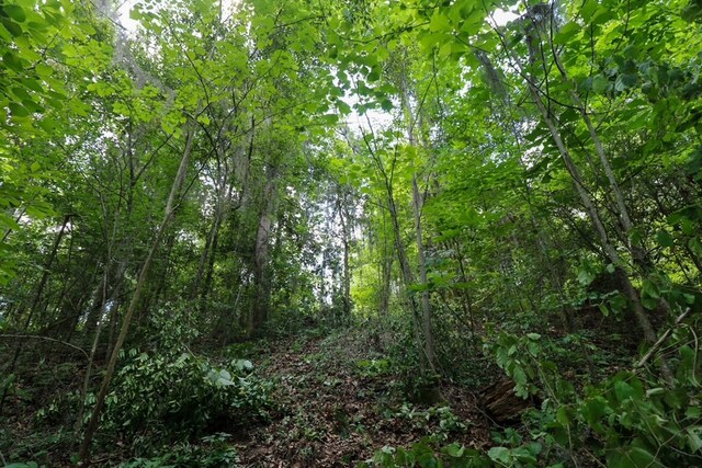 LOT10 Booster Club Rd, Bainbridge, GA 39819