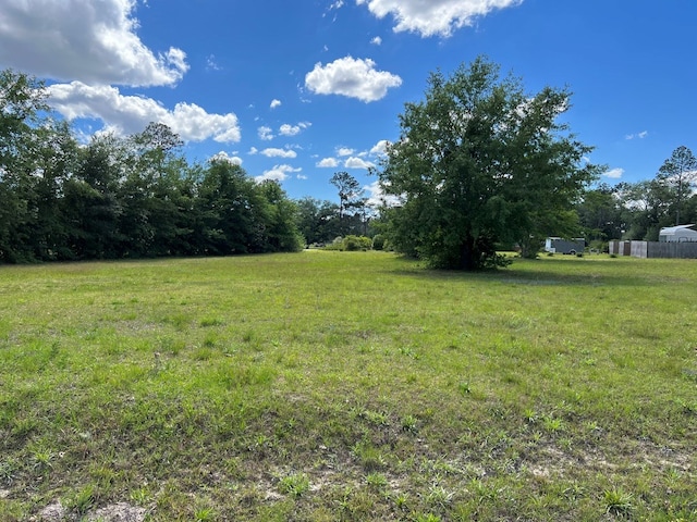 6016 Mary-Ed Dr, Donalsonville, GA 39845 - photo 4