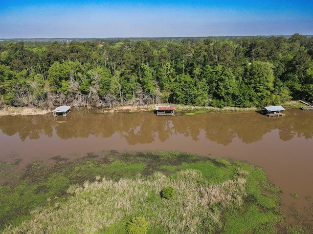 drone / aerial view with a view of trees and a water view