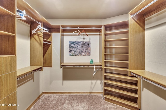 walk in closet featuring carpet flooring